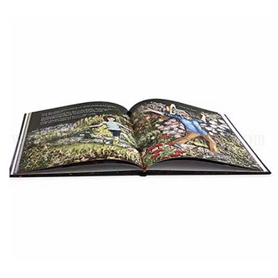 kids book printing china