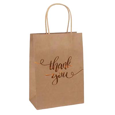 custom craft paper bag with affordable price